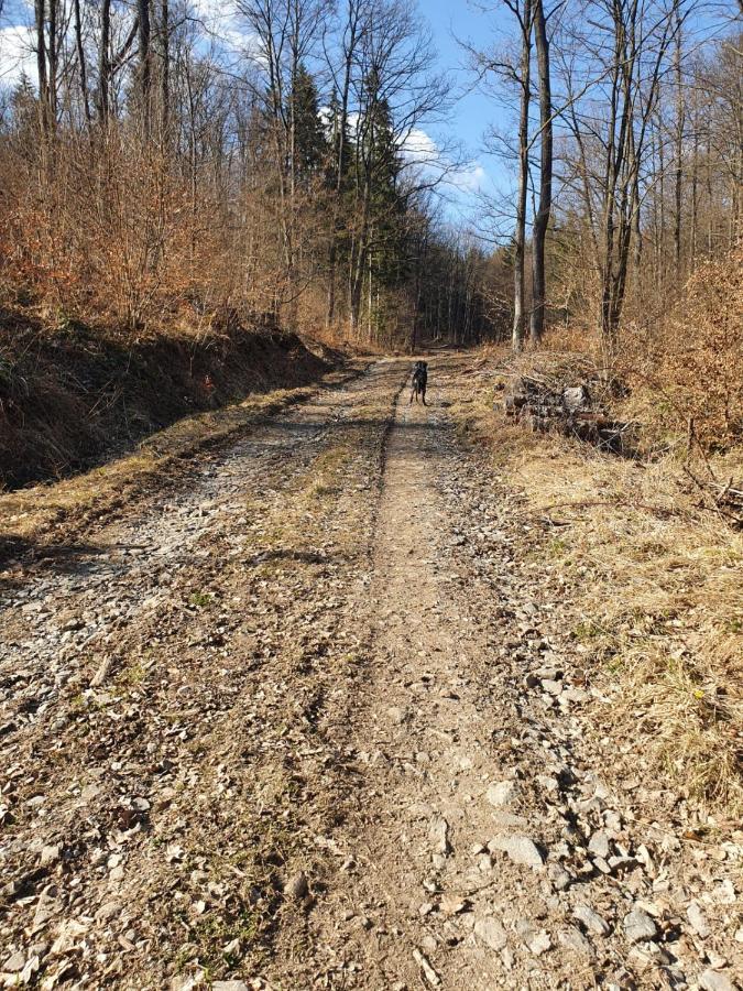 Horska Chata V Srdci Kremnickych Hor Villa Banska Bystrica Exterior photo