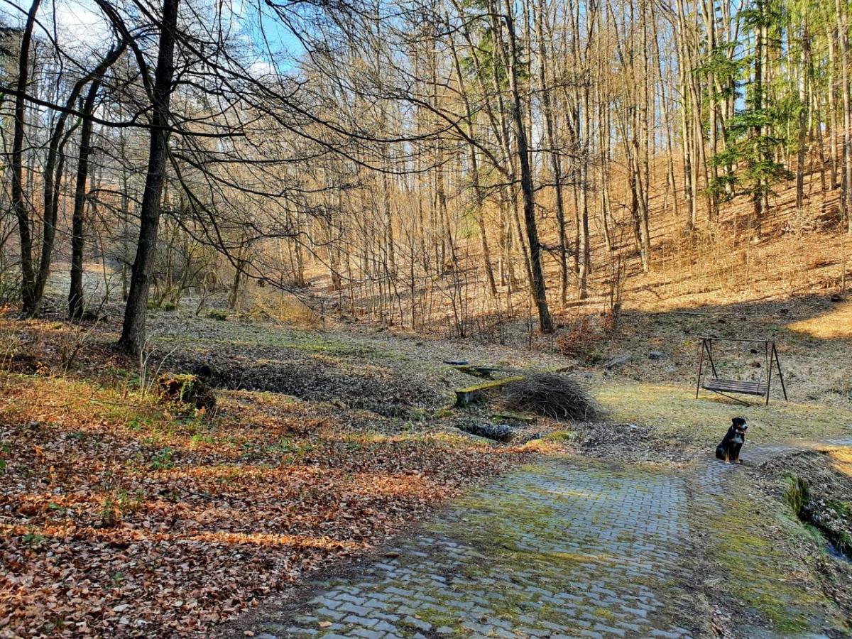 Horska Chata V Srdci Kremnickych Hor Villa Banska Bystrica Exterior photo